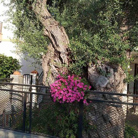 Aegean Balcony Villa Skála Kallirákhis Eksteriør billede