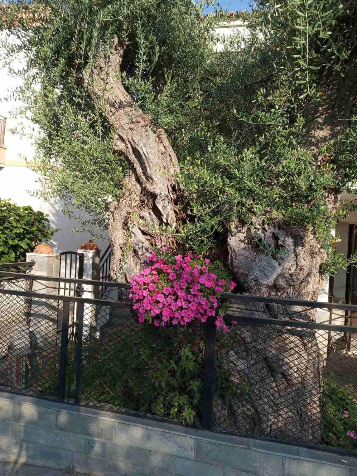 Aegean Balcony Villa Skála Kallirákhis Eksteriør billede
